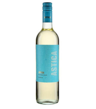 astica sauvignon blanc-nairobidrinks